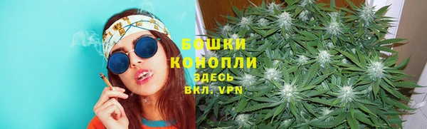 прущие грибы Заволжск