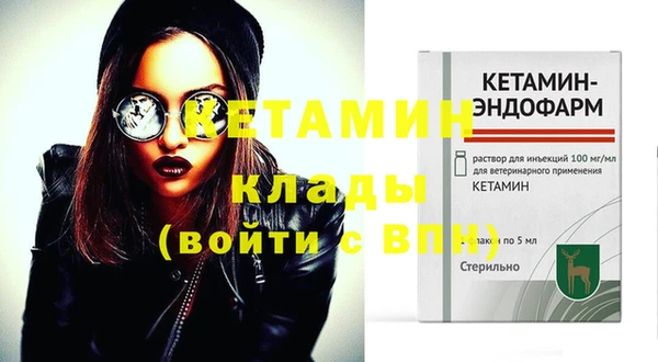прущие грибы Заволжск