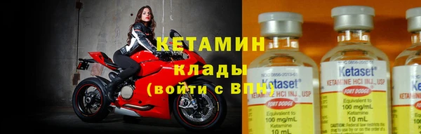 прущие грибы Заволжск