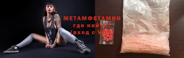 прущие грибы Заволжск