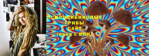 прущие грибы Заволжск
