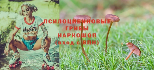 метамфетамин Заводоуковск
