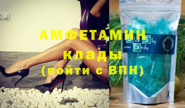 прущие грибы Заволжск