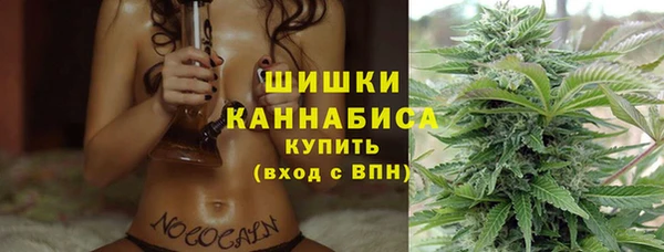 прущие грибы Заволжск