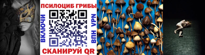 Купить  Туймазы  Псилоцибиновые грибы MAGIC MUSHROOMS 